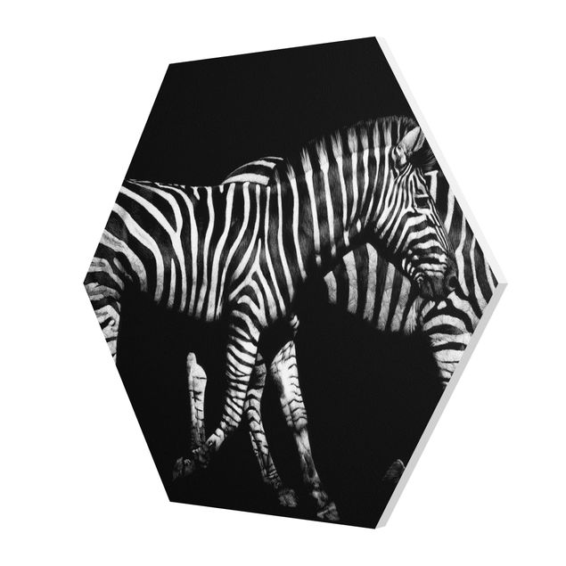 Quadros preto e branco Zebra In The Dark