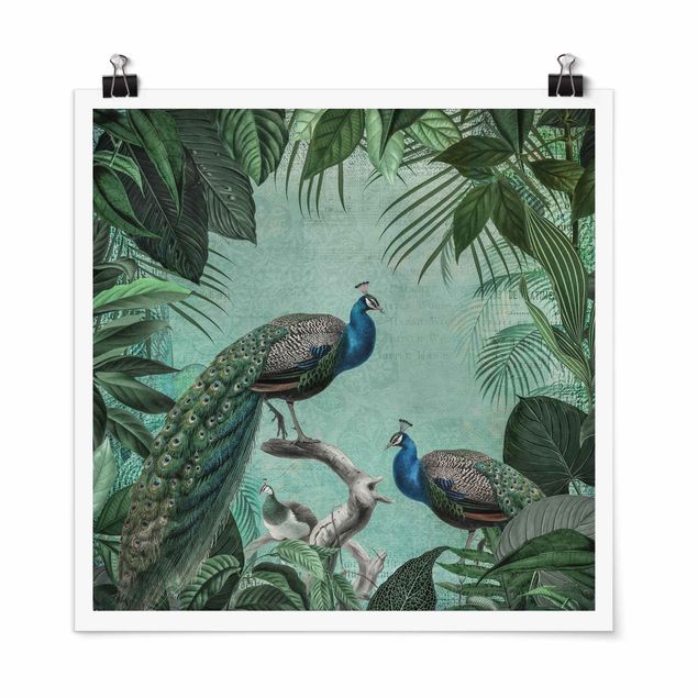Posters quadros famosos Shabby Chic Collage - Noble Peacock