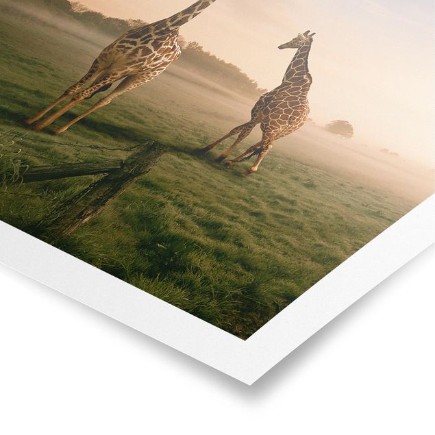 Quadros paisagens Surreal Giraffes