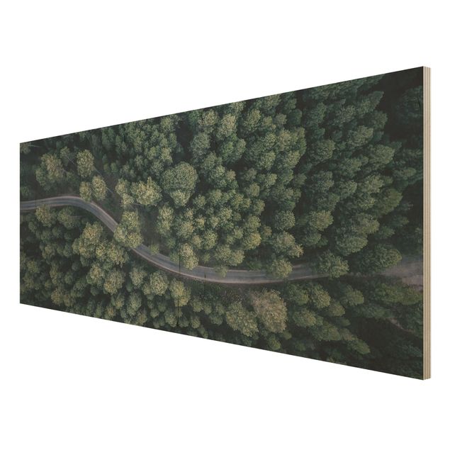 Quadros decorativos Aerial View - Forest Road From The Top