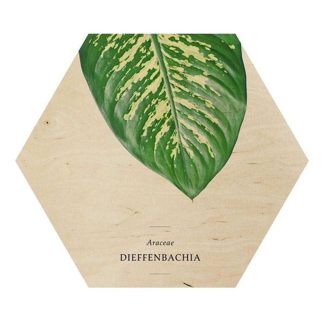 quadros em madeira para decoração Tropical Leaf Dieffenbachia