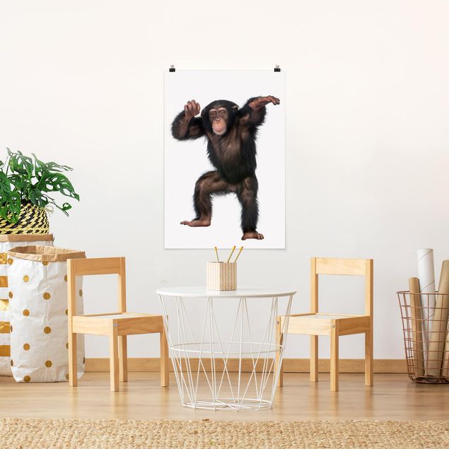 Posters animais Jolly Monkey