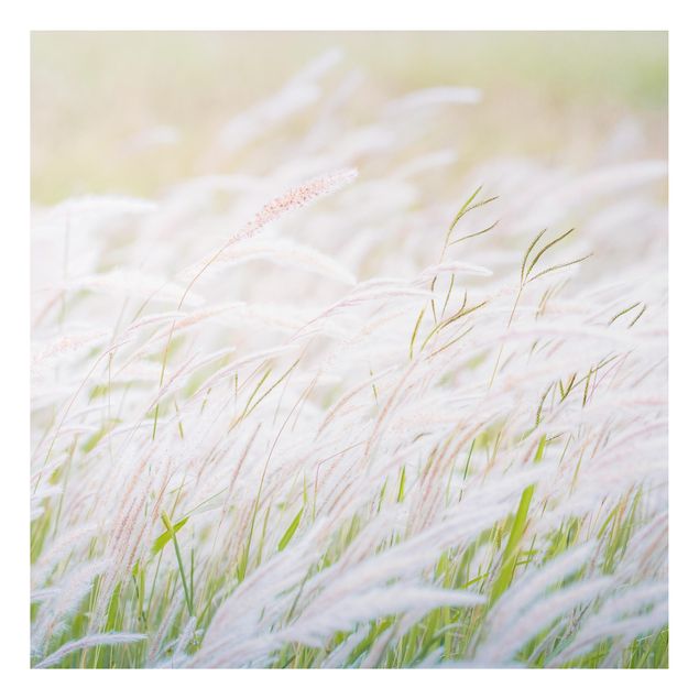 Quadros florais Soft Grasses