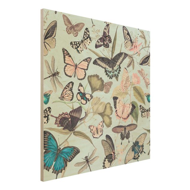 decoraçao para parede de cozinha Vintage Collage - Butterflies And Dragonflies