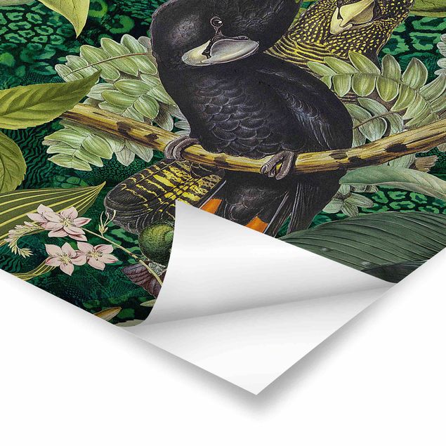 Quadros de Andrea Haase Colourful Collage - Cockatoos In The Jungle