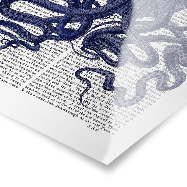 decoração quadros Animal Reading - Octopus