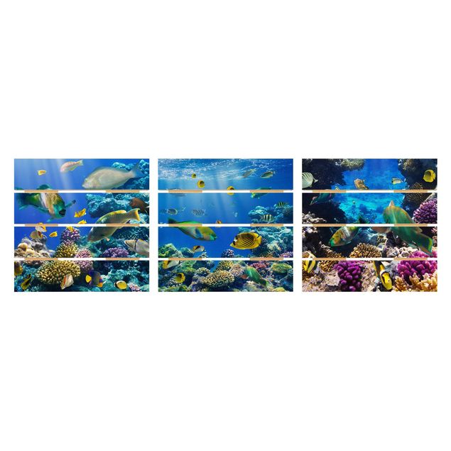decoração quadros Underwater Trio