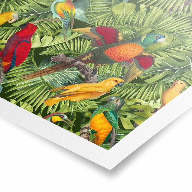 Posters quadros famosos Colourful Collage - Parrots In The Jungle