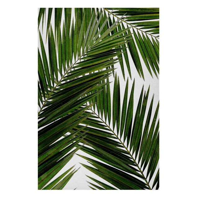 quadro com paisagens View Through Green Palm Leaves