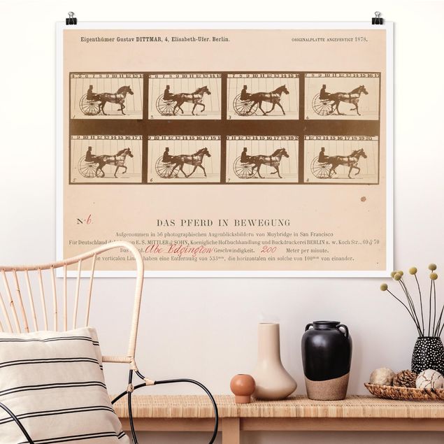decoraçoes cozinha Eadweard Muybridge - The horse in Motion