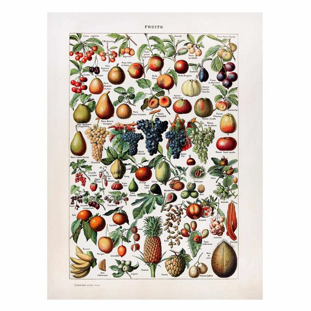 Quadros frutas Vintage Board Fruits