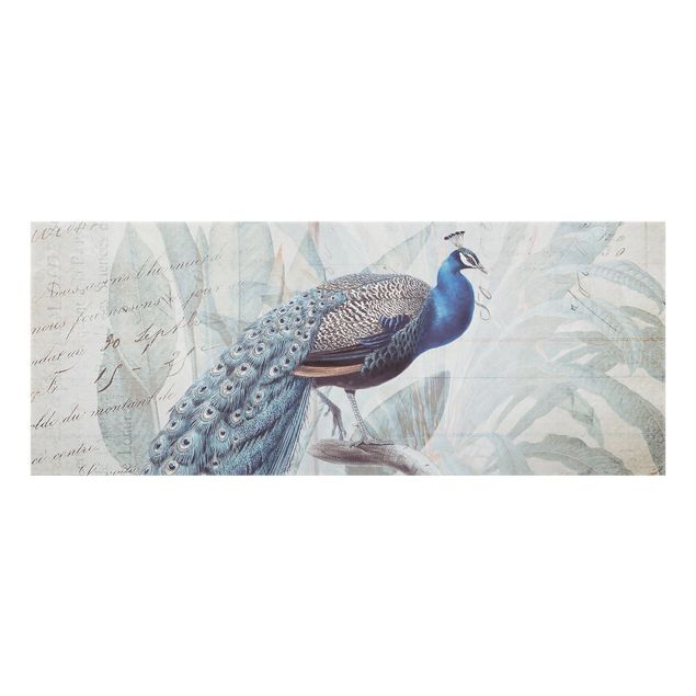 Quadros de Andrea Haase Shabby Chic Collage - Peacock