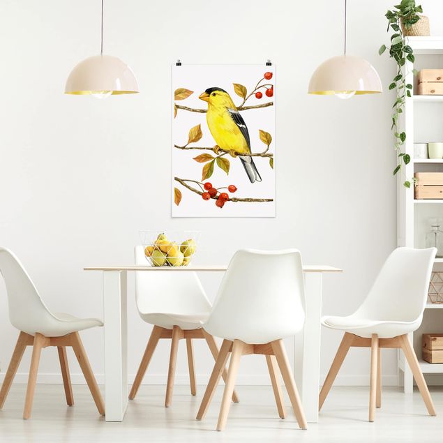 Posters animais Birds And Berries - American Goldfinch
