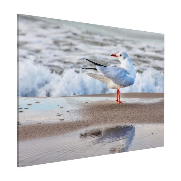 decoraçao para parede de cozinha Seagull On The Beach In Front Of The Sea