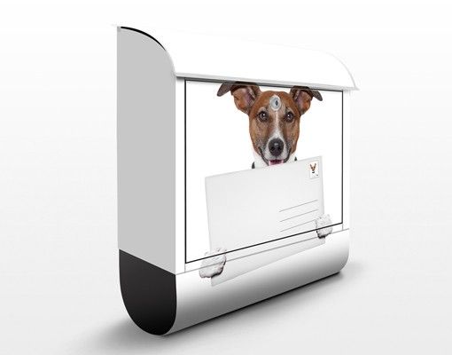 Caixas de correio animais Dog With Letter