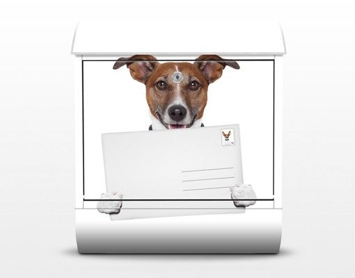 caixas de correio exteriores Dog With Letter