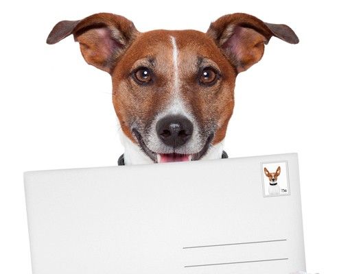 Caixas de correio Dog With Letter