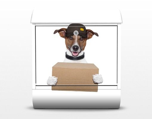 caixas de correio Dog With Package