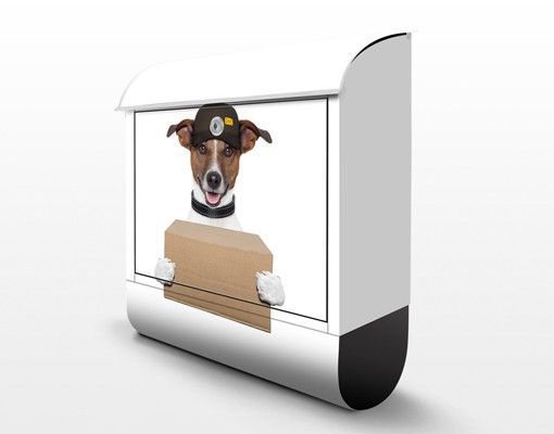 Caixas de correio Dog With Package