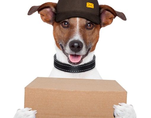 Caixas de correio Dog With Package