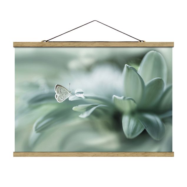 quadro com flores Butterfly And Dew Drops In Pastel Green