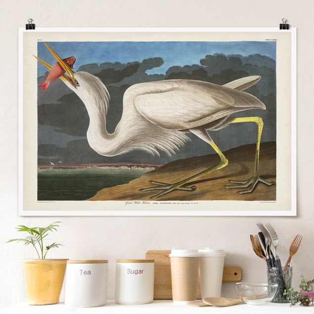 decoraçao cozinha Vintage Board Great White Egret
