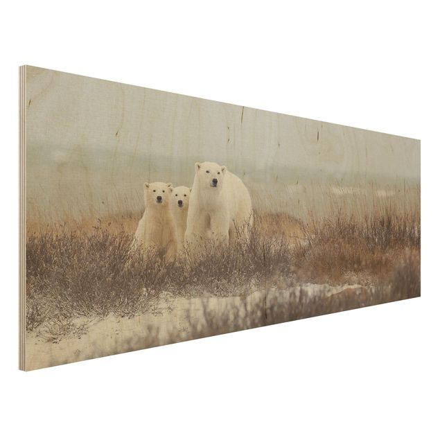 decoraçoes cozinha Polar Bear And Her Cubs