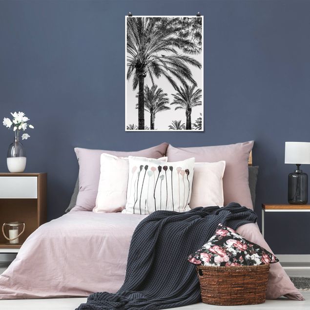 quadro com paisagens Palm Trees At Sunset Black And White