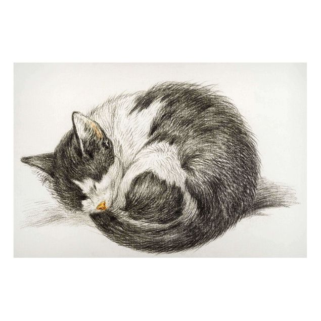 quadro de gato Vintage Drawing Cat II