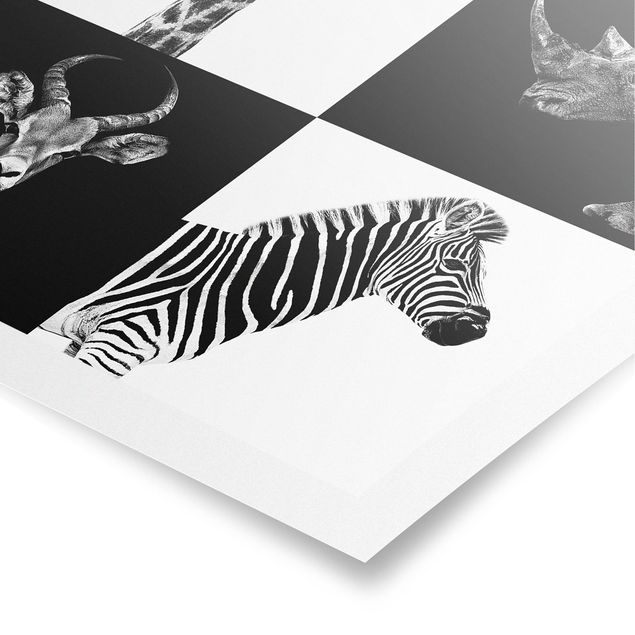 Posters em preto e branco Safari Quartet