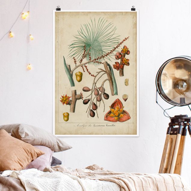 decoraçoes cozinha Vintage Board Exotic Palms III