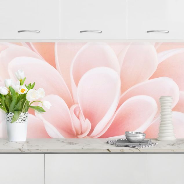decoraçao para parede de cozinha Dahlia In Pastel Pink