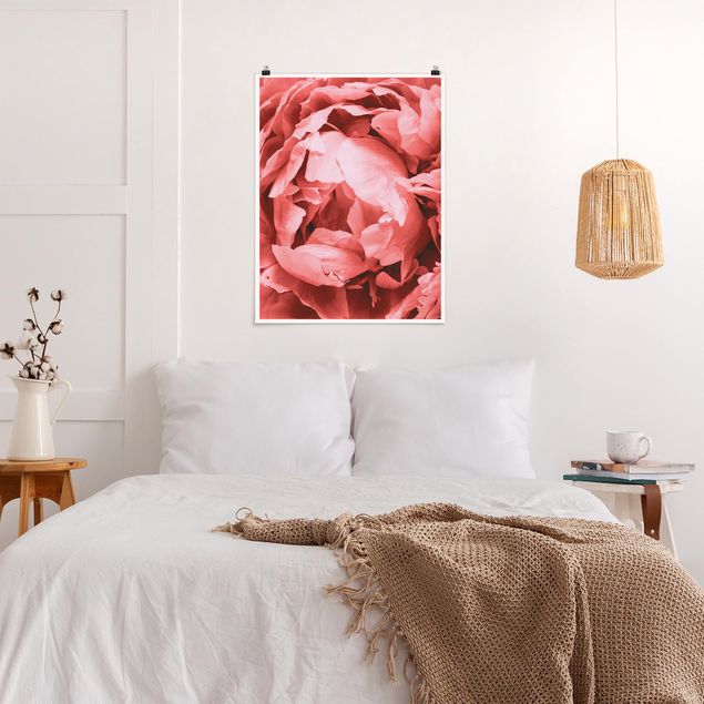Posters flores Peony Blossom Coral