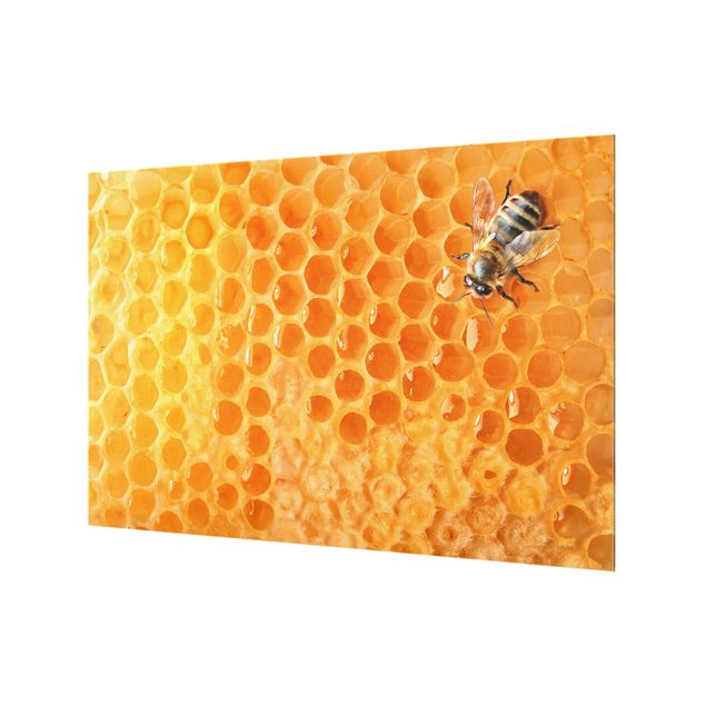 Painel anti-salpicos de cozinha Honey Bee