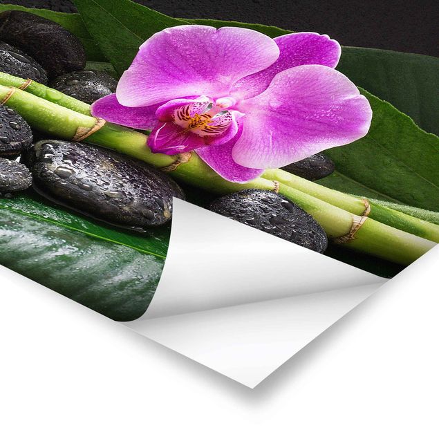 Quadros verdes Green Bamboo With Orchid Flower