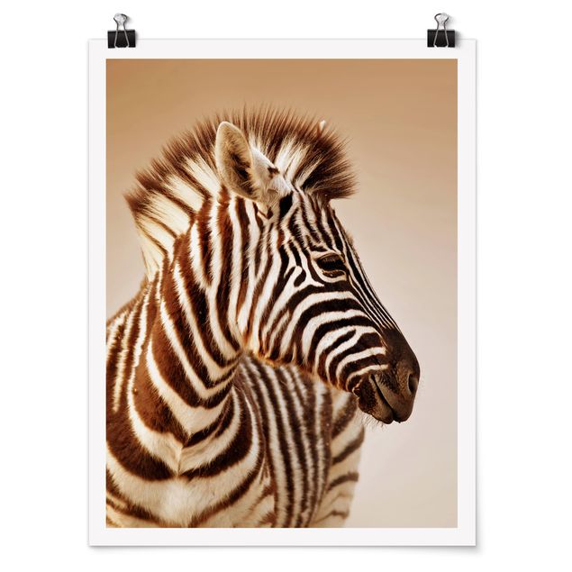 Quadros África Zebra Baby Portrait