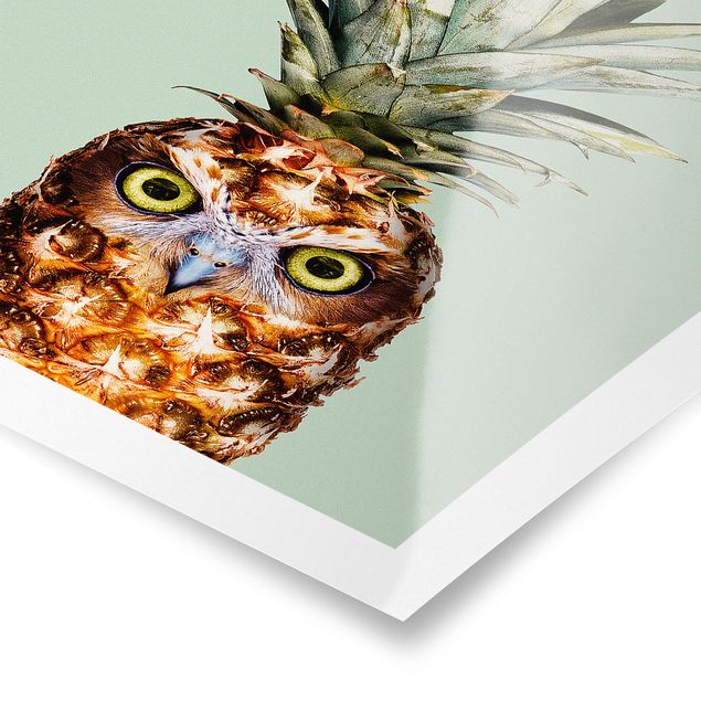 Quadros de Jonas Loose Pineapple With Owl
