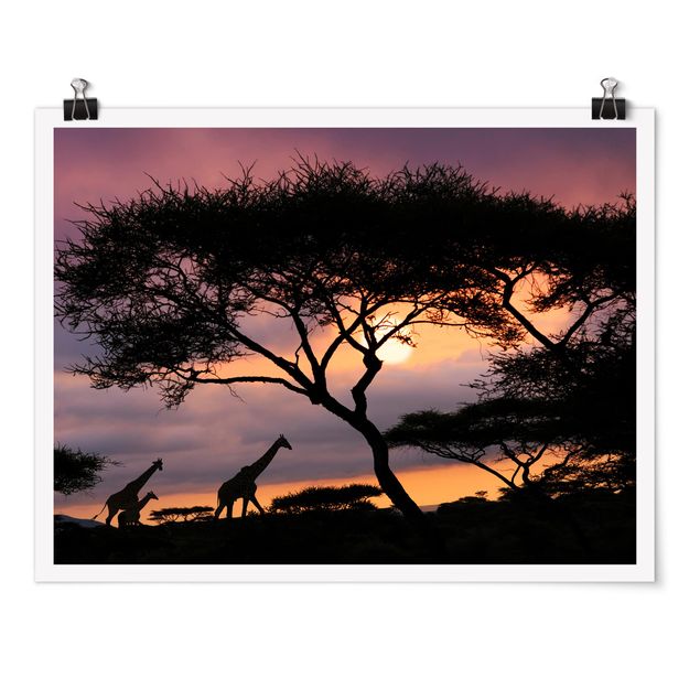 quadro com paisagens African Safari
