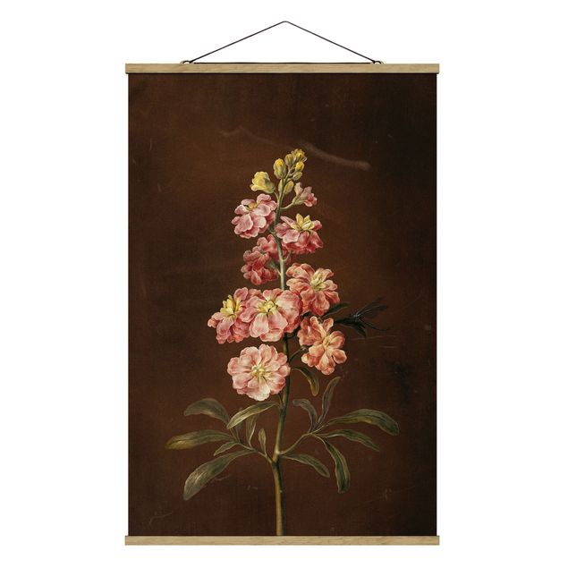 quadros de flores Barbara Regina Dietzsch - A Light Pink Gillyflower