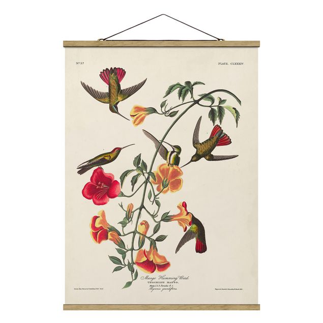 Quadros retro Vintage Board Mango Hummingbirds