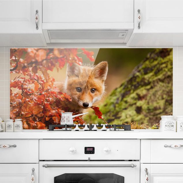 decoraçoes cozinha Fox in Autumn