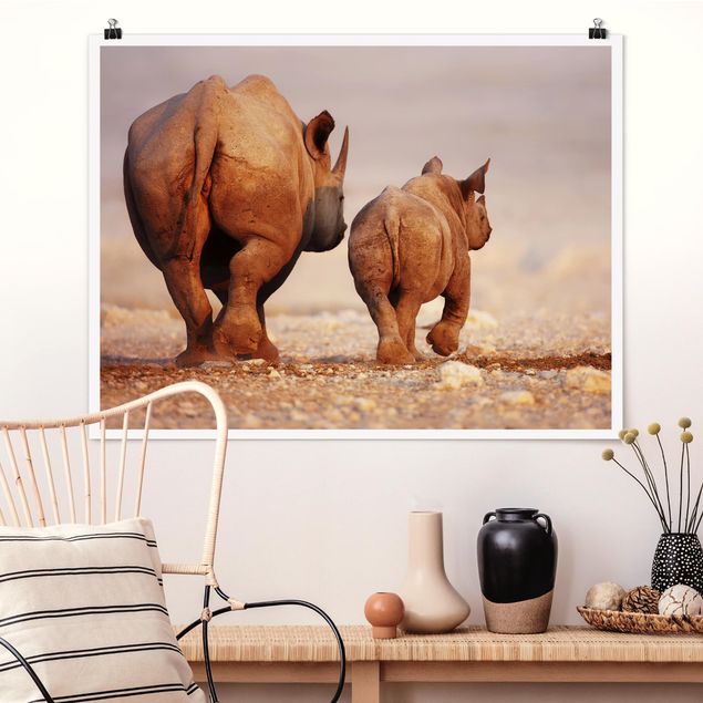 decoraçao cozinha Wandering Rhinos