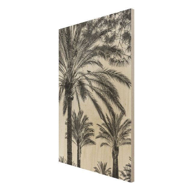 Quadros em madeira paisagens Palm Trees At Sunset Black And White