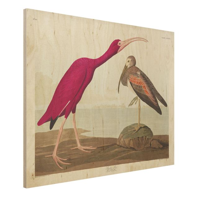 decoraçao cozinha Vintage Board Red Ibis