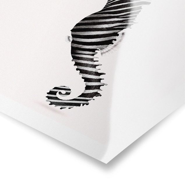 Posters em preto e branco Seahorse With Zebra Stripes