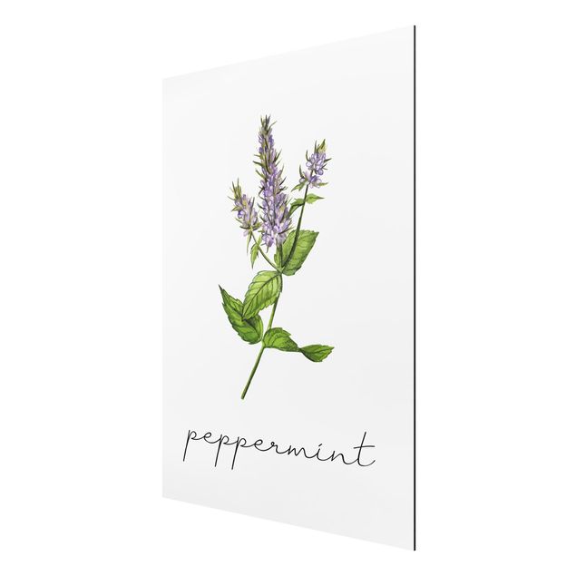 Quadros florais Herbs Illustration Pepper Mint