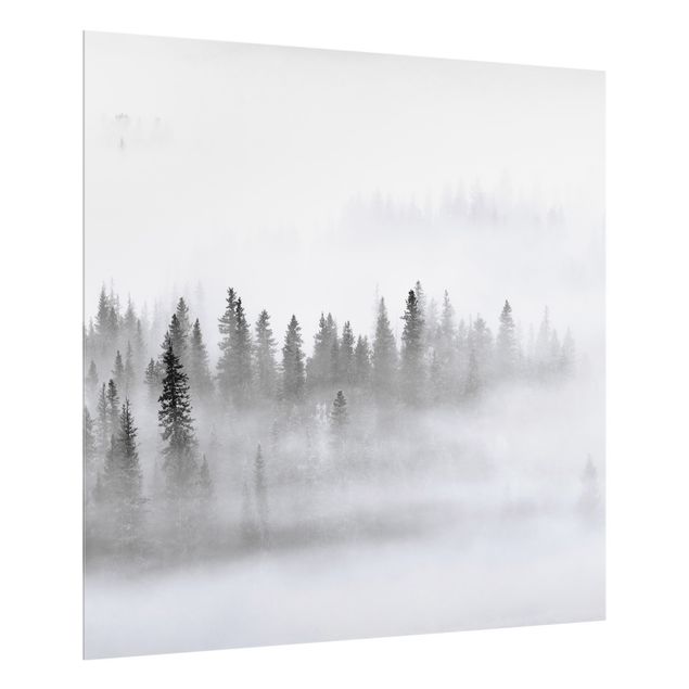 Painel anti-salpicos de cozinha Fog In The Fir Forest Black And White