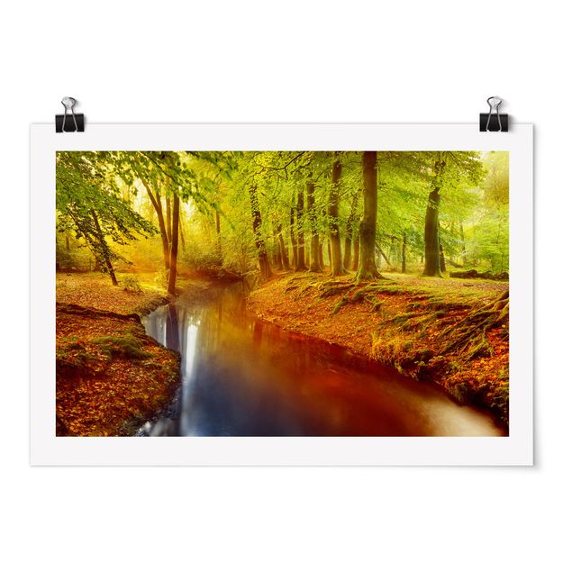 Posters paisagens Autumn Forest