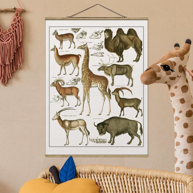 decoraçoes cozinha Vintage Board Giraffe, Camel And IIama