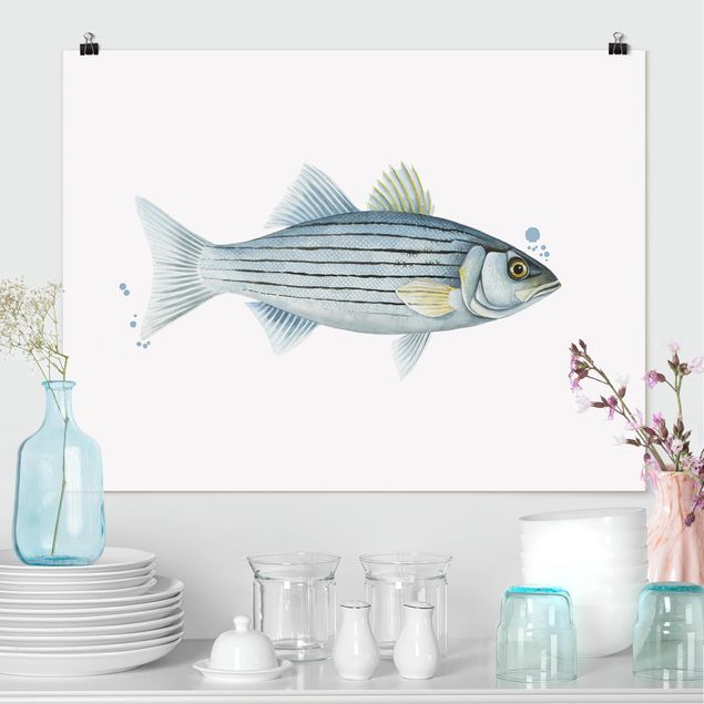 decoraçao cozinha Color Catch - White Perch